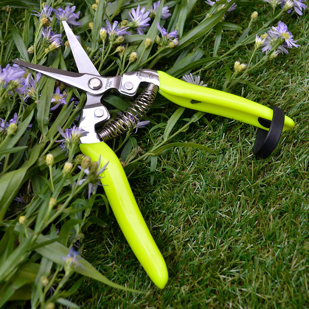 FloraBrite Flower & Fruit Snips