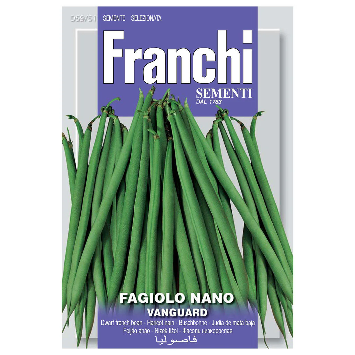 French Bean Vanguard Dwarf Seeds - Image 2