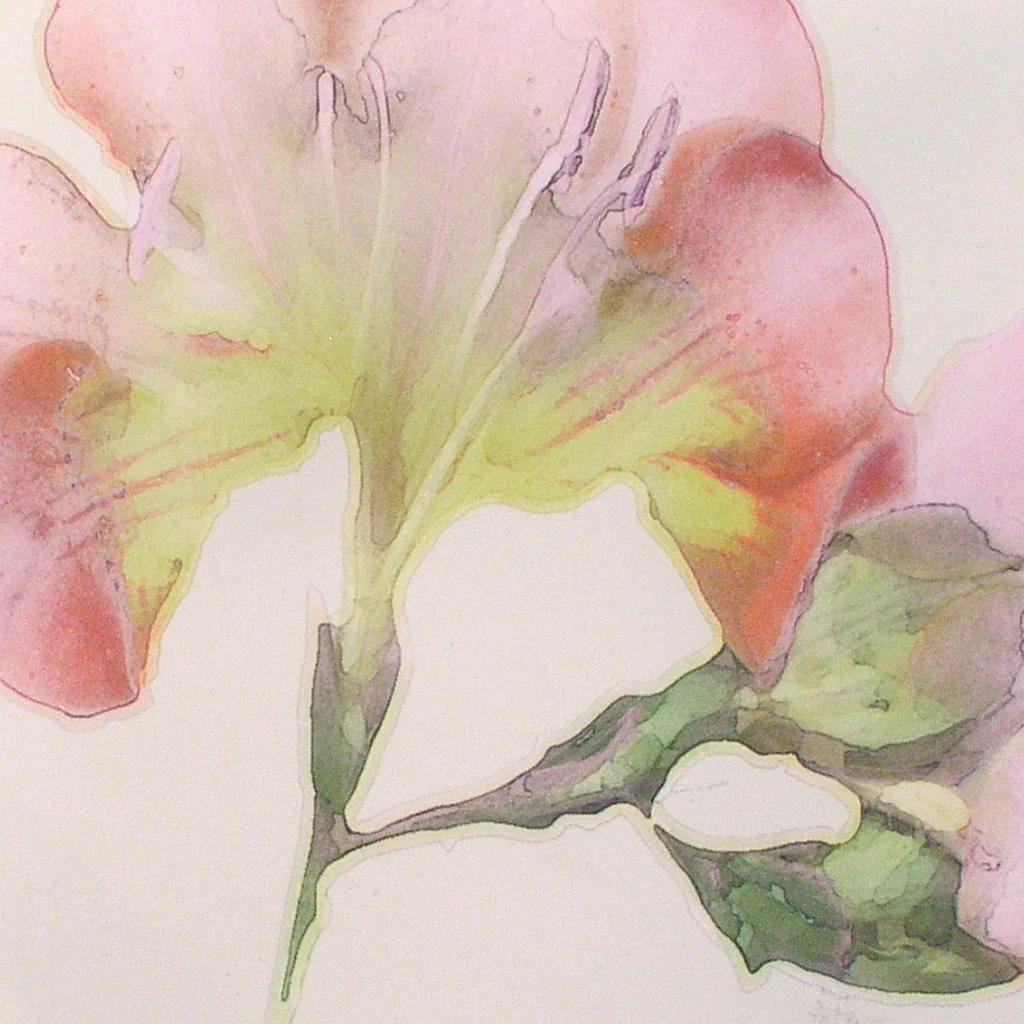 Note Cards Pack of 5 - Image 3