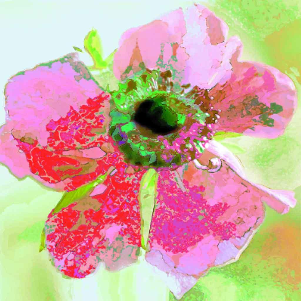Note Cards Pack of 5 - Image 4
