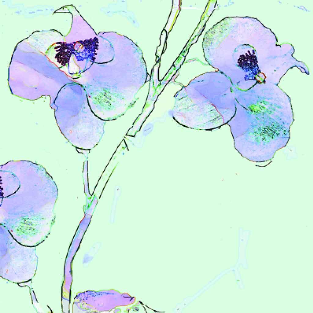 Note Cards Pack of 5 - Image 6