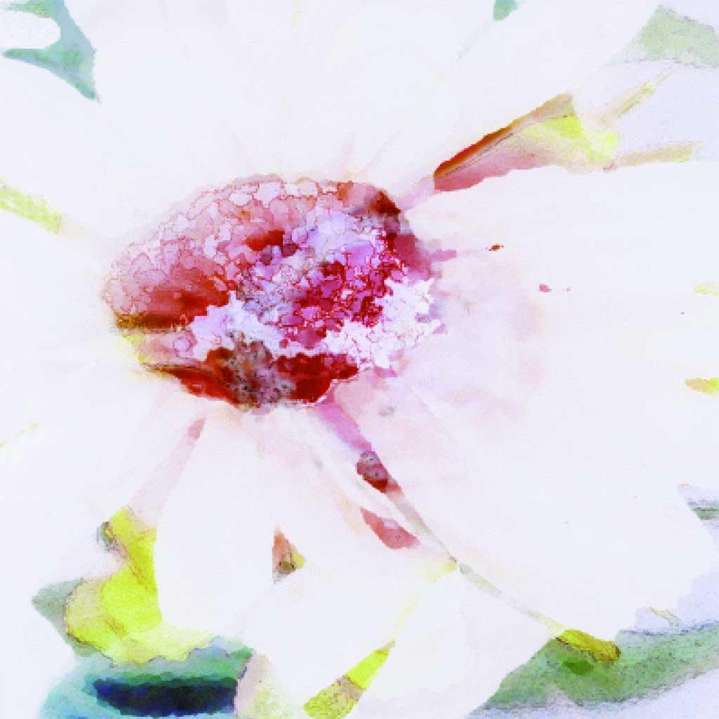 Note Cards Pack of 5 - Image 7