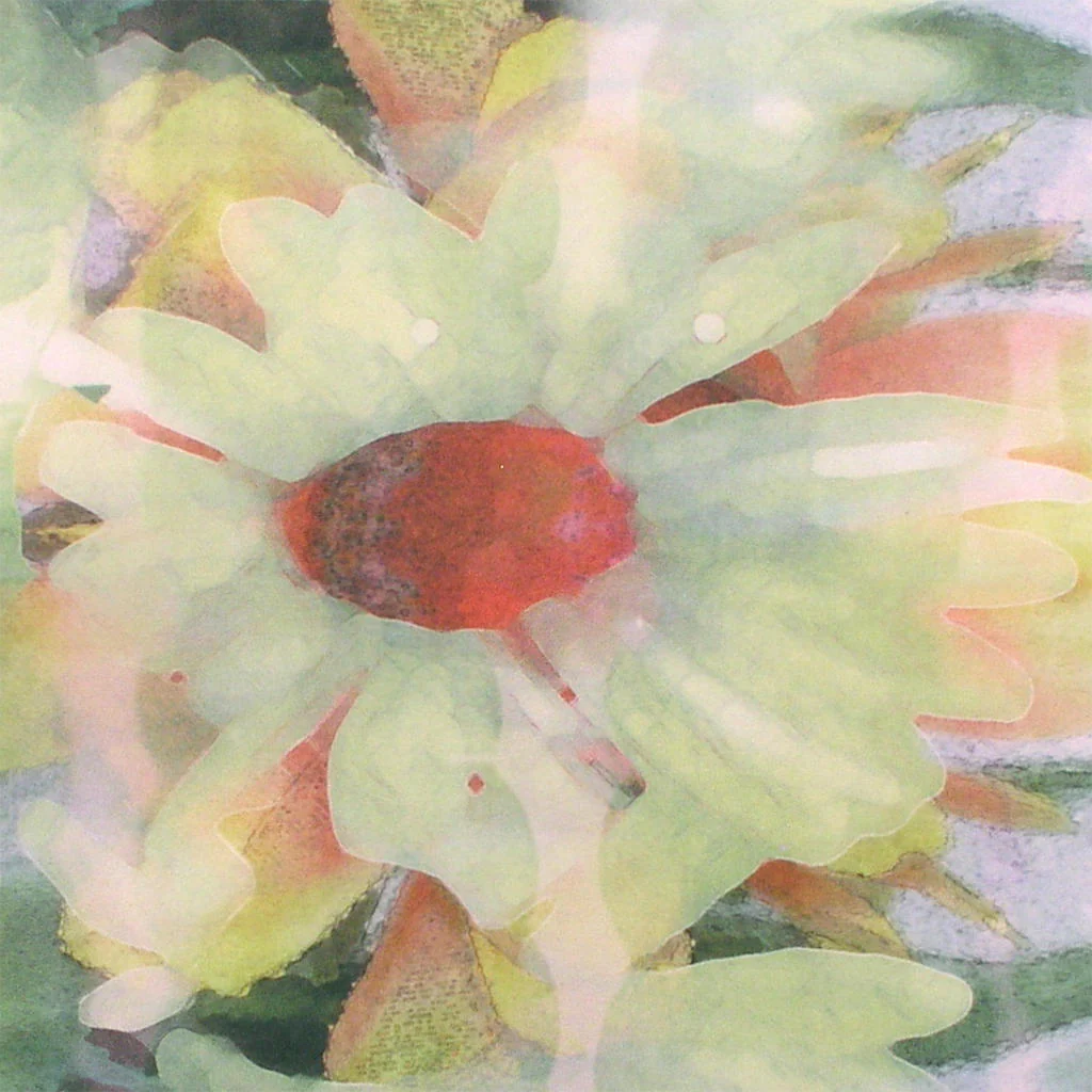 Note Cards Pack of 5 - Image 8