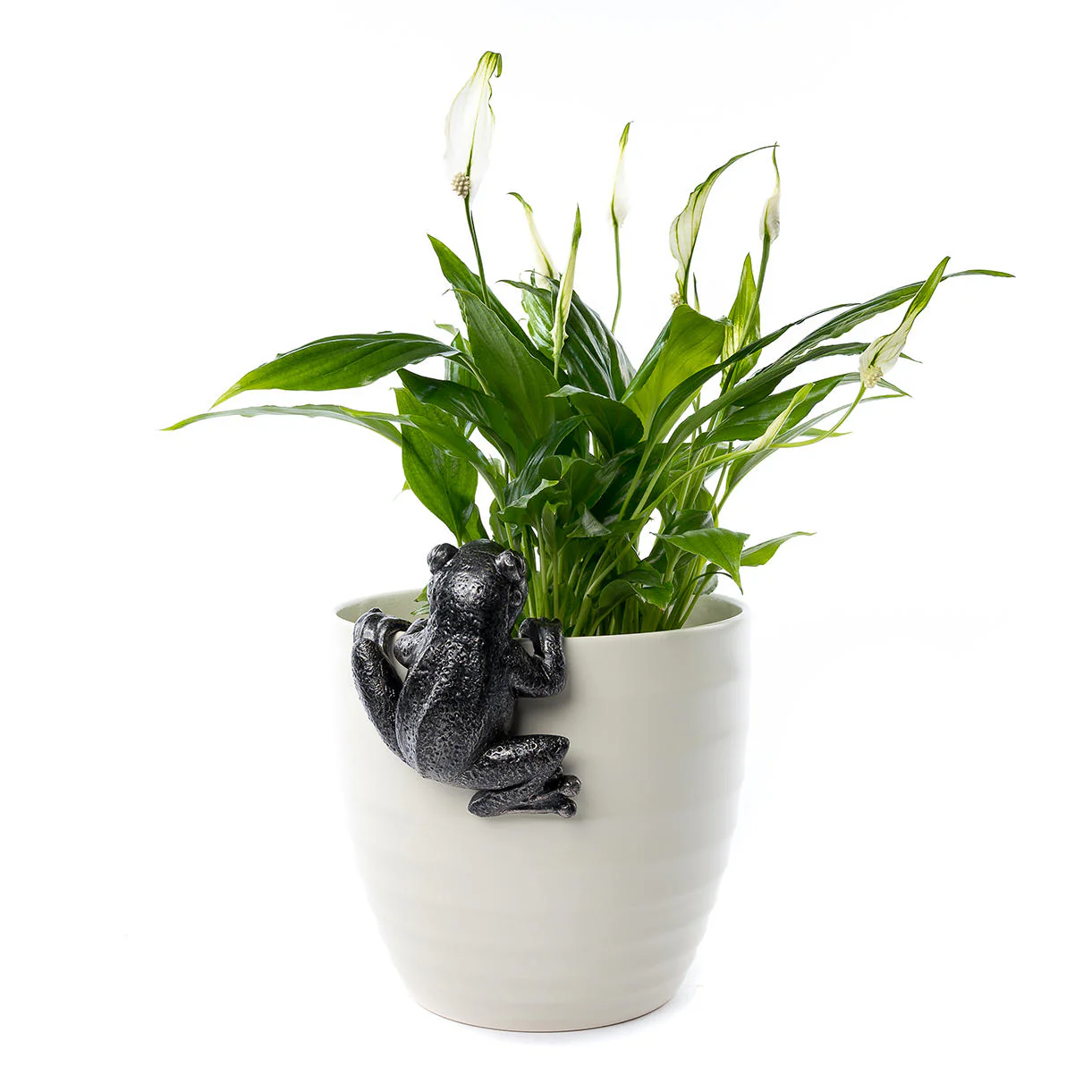 Froggy Plant Pot Decoration
