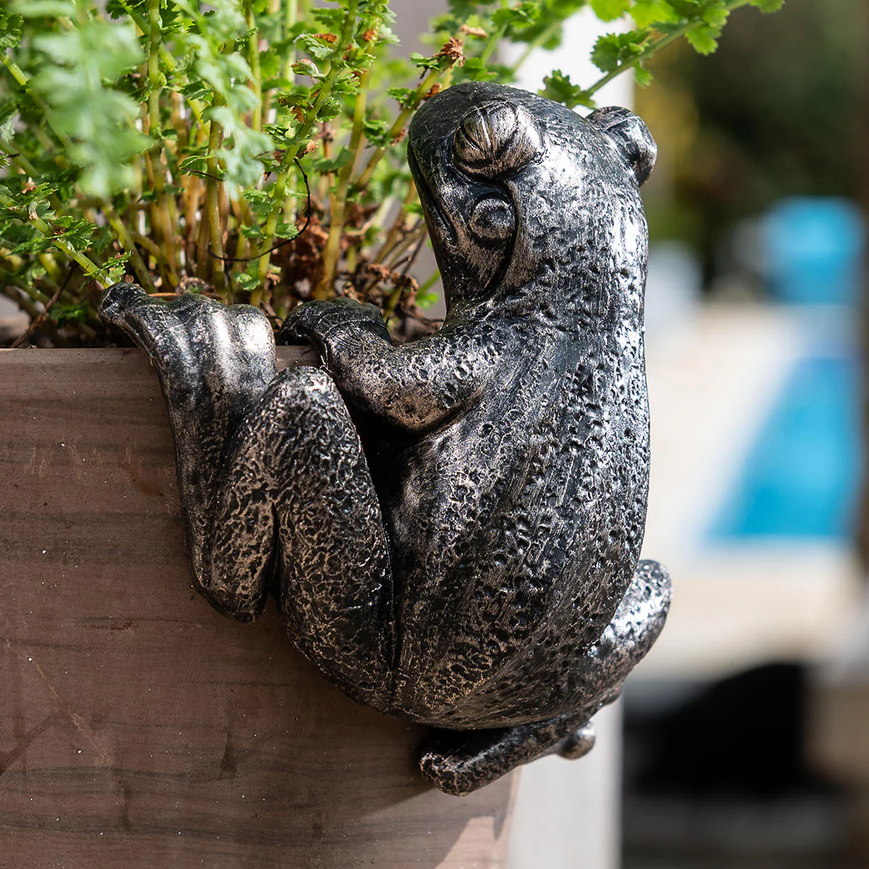 Froggy Plant Pot Decoration - Image 2