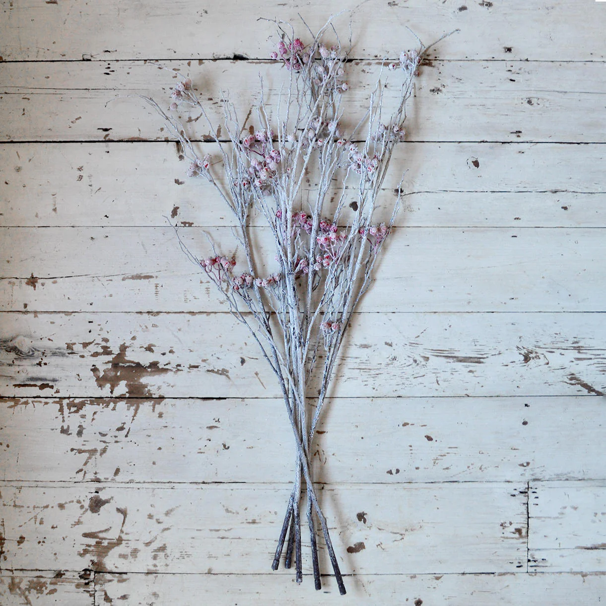 5 Frosted Hawberry Stems - Image 3
