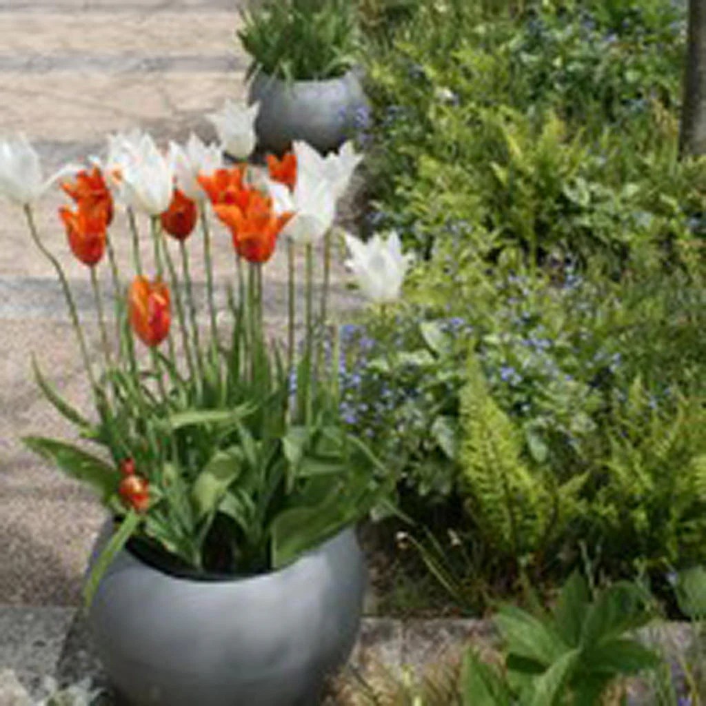 Geo Sphere Planters - Image 3