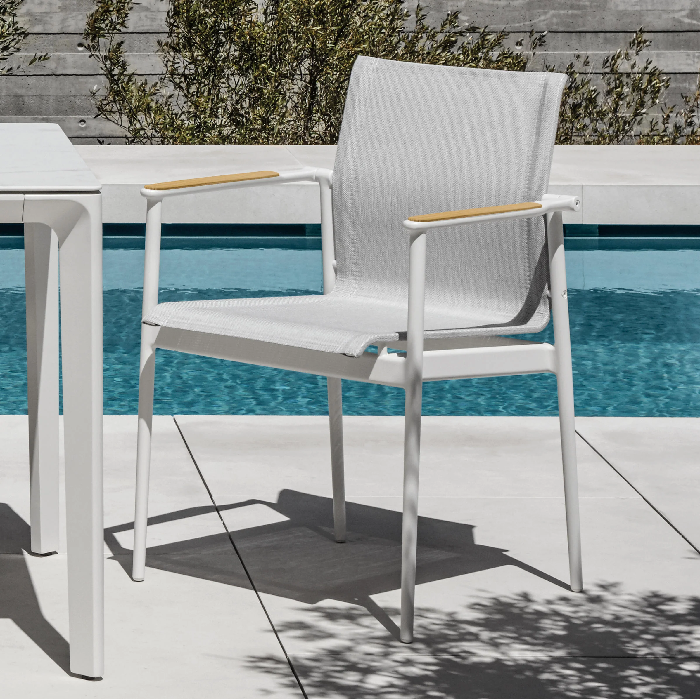 Gloster 180 Dining Chairs with Teak Arms