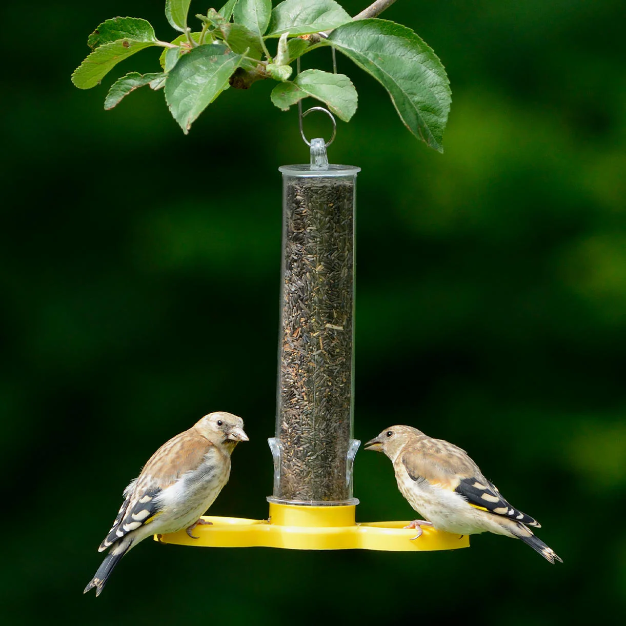 Goldfinch Finder Feeder - Image 3