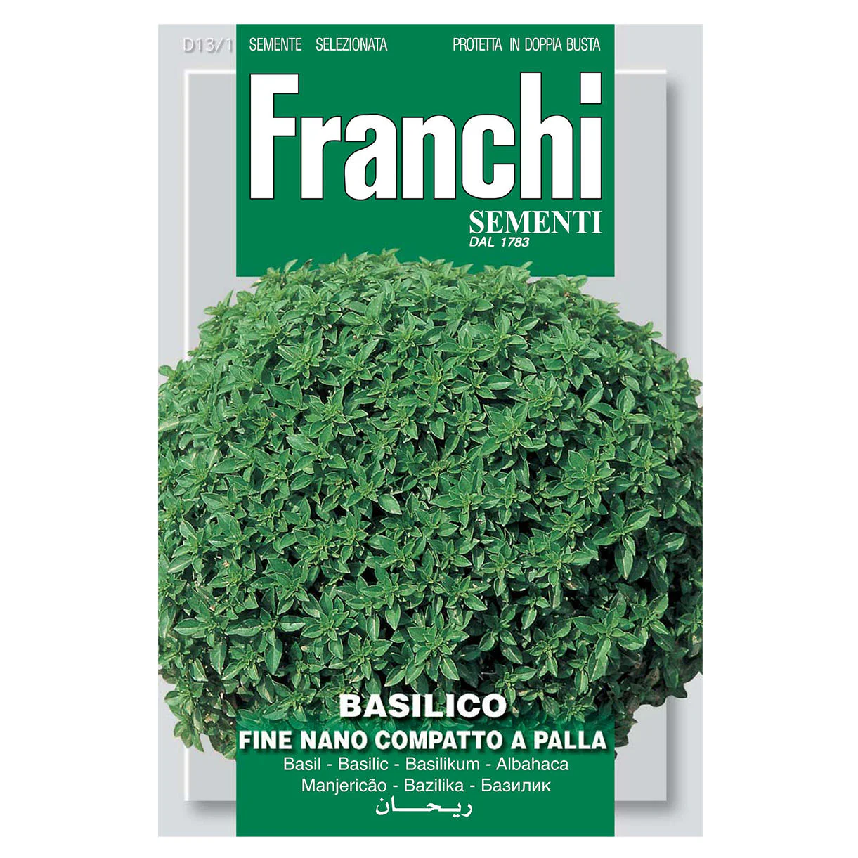 Greek Basil Herb Seeds - Image 2