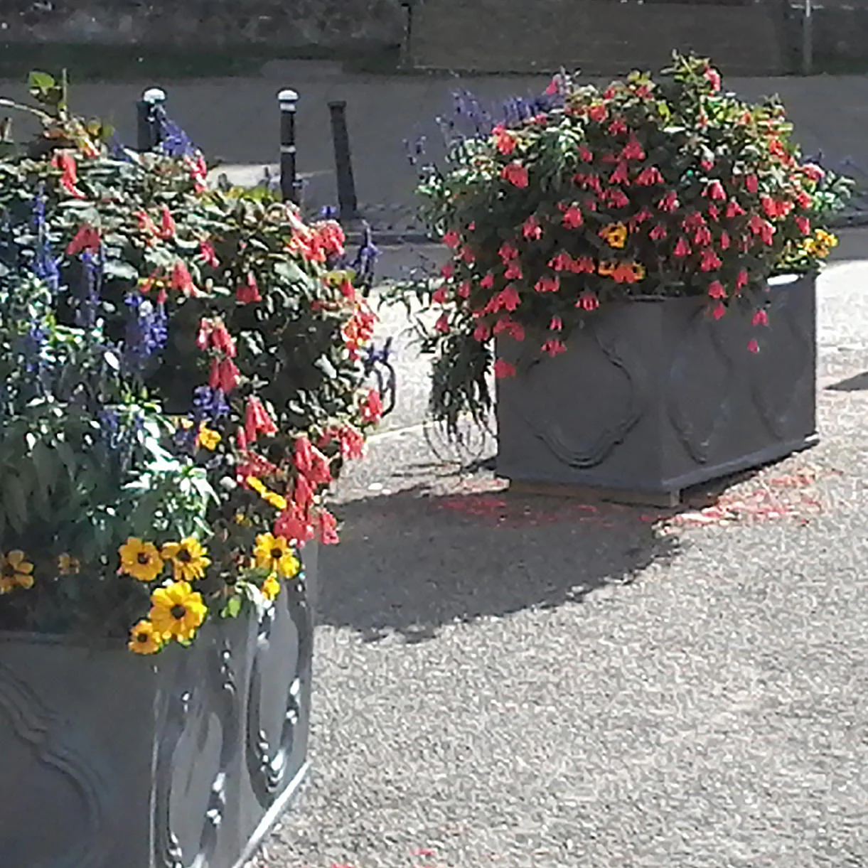 Hampton Wick Tank Planter - Image 3