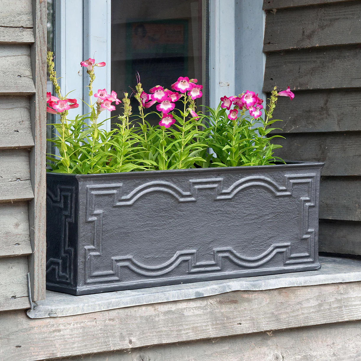 Hampton Wick Window Box