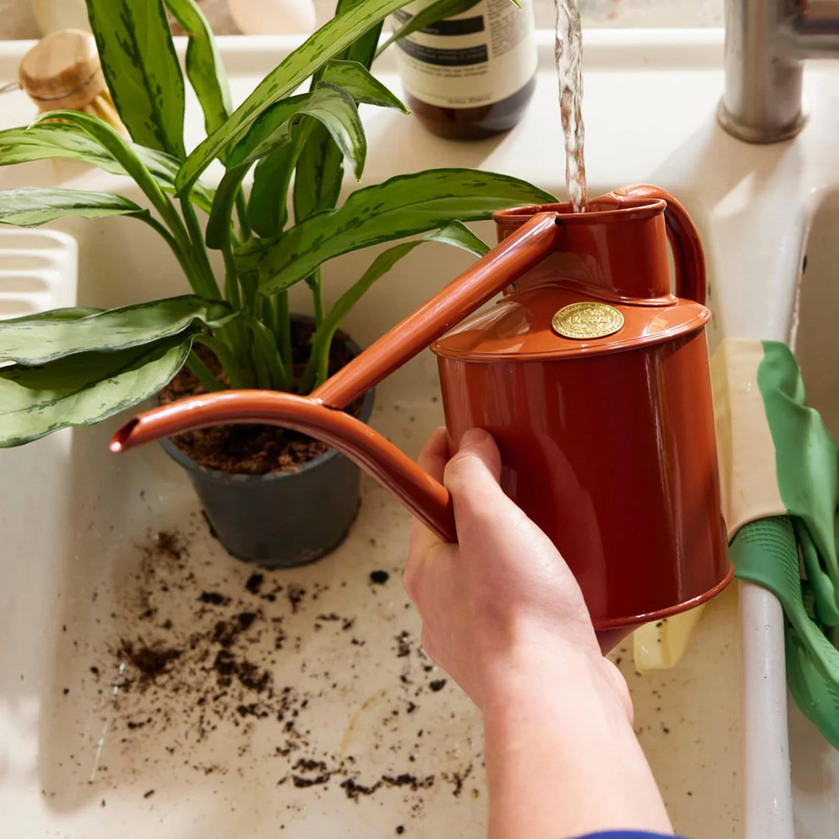 Haws Fazeley Flow Indoor Watering Can - 2 pint - Image 4