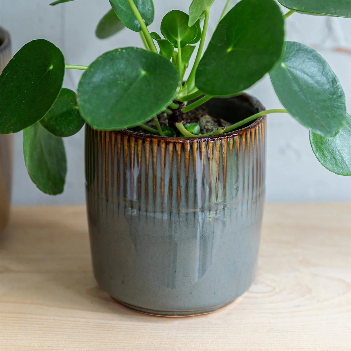 Linear Indoor Plant Pot