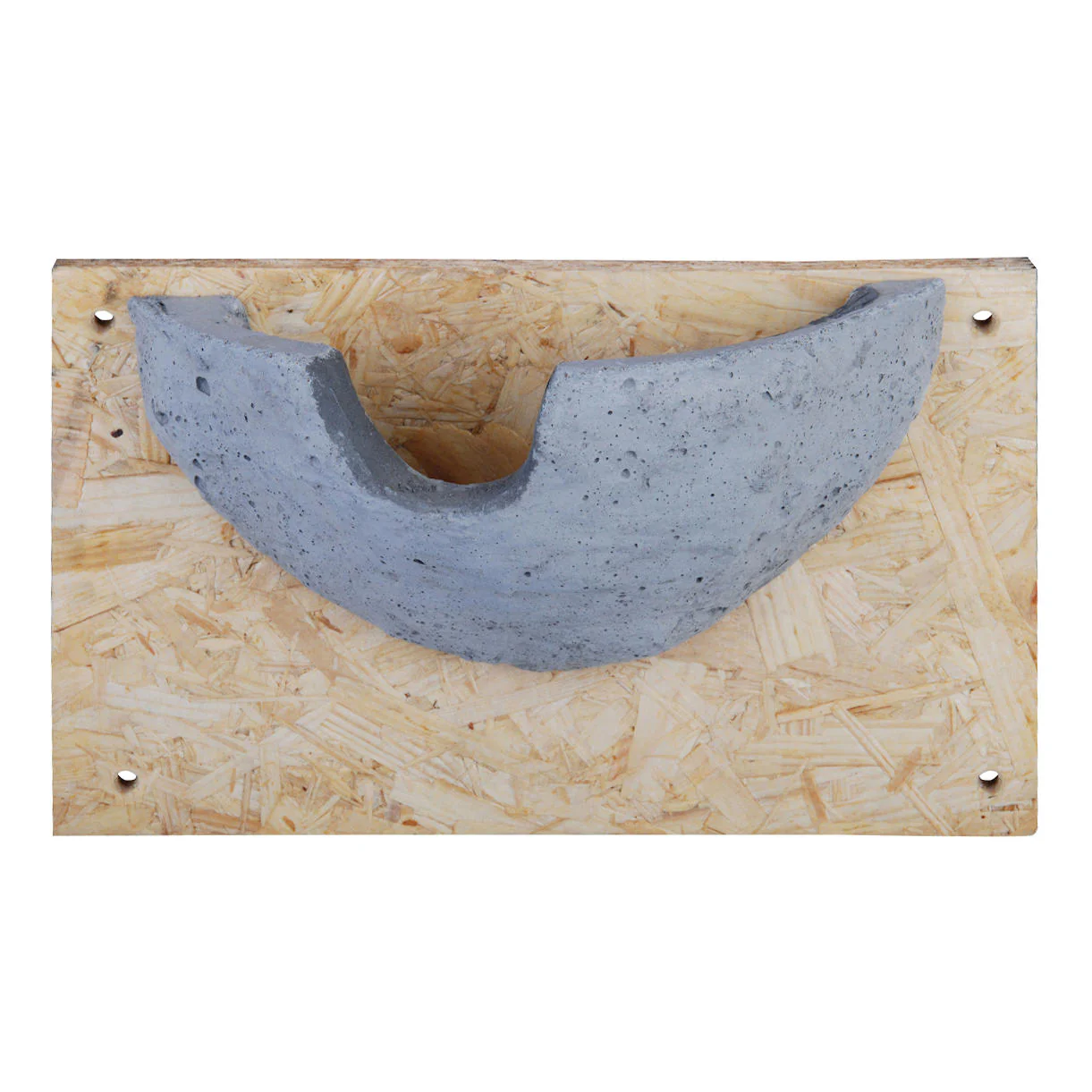 House Martin Nester