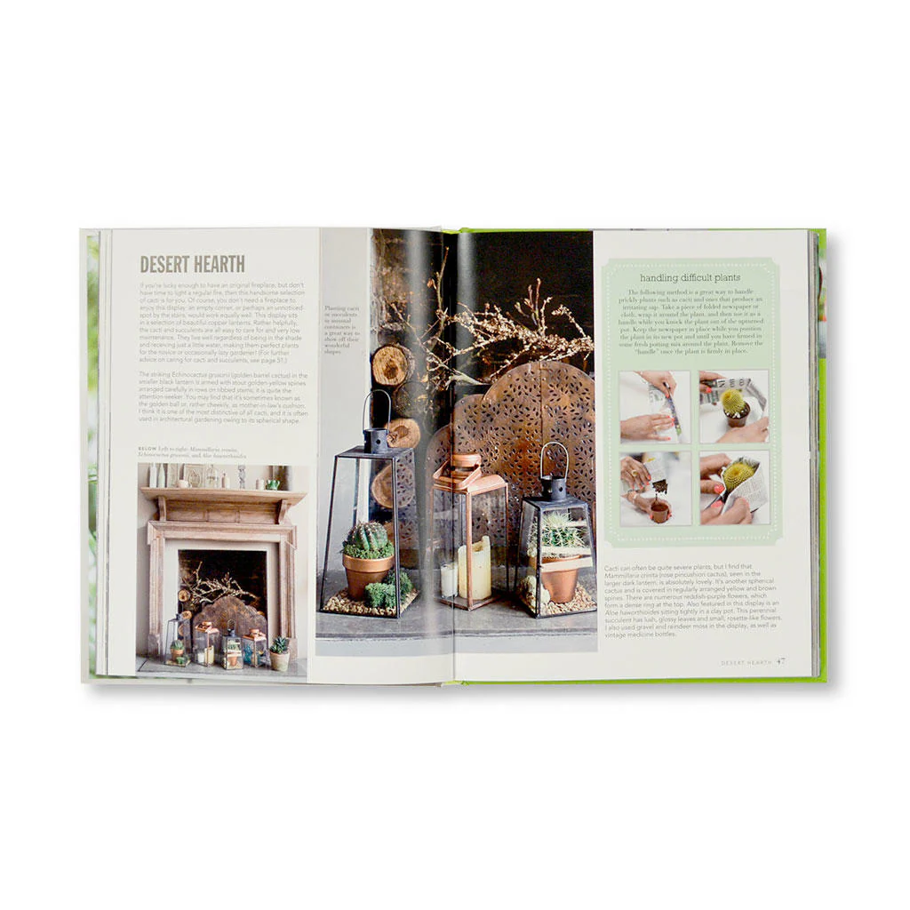House Plants - Image 2