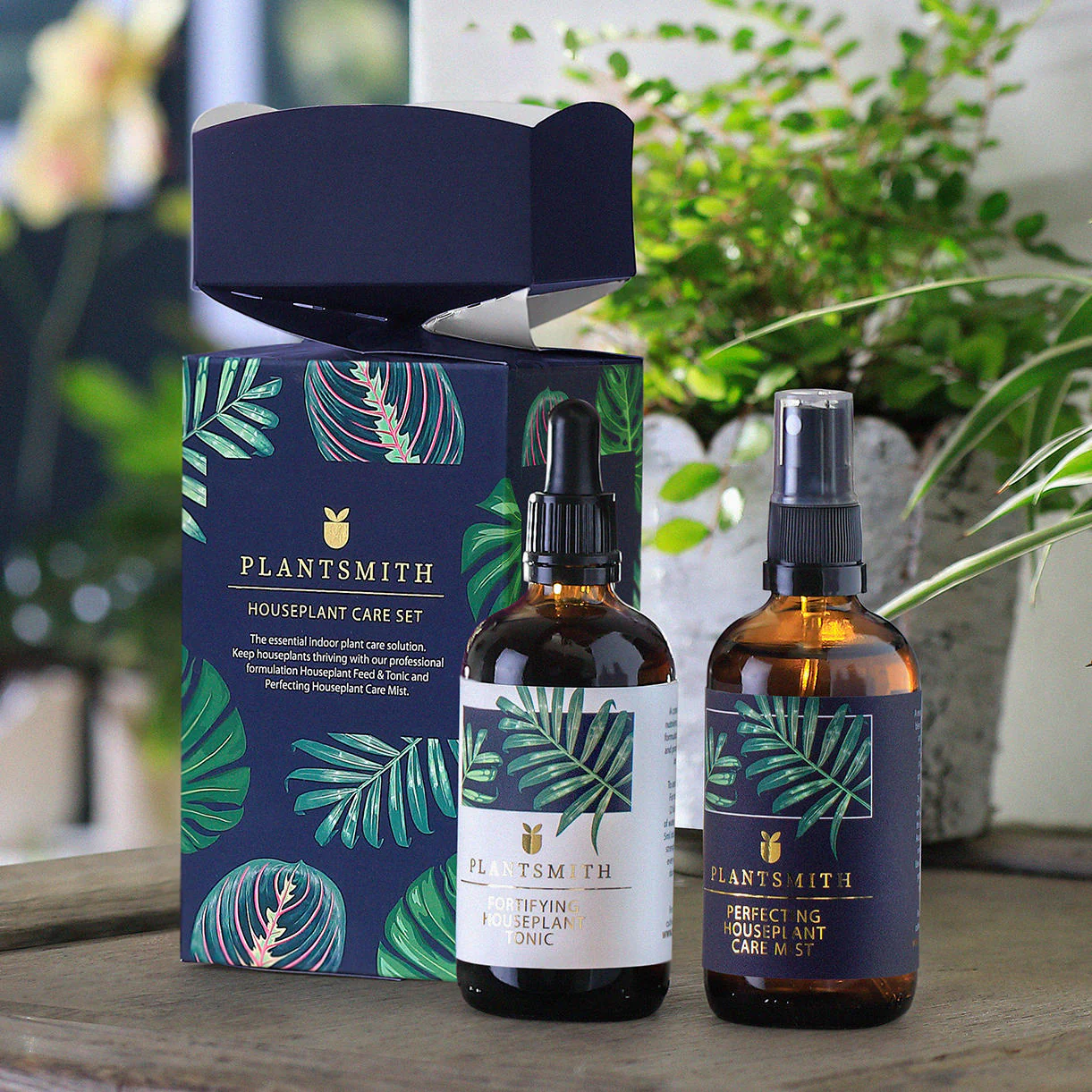Houseplant Care Set Gift Cracker