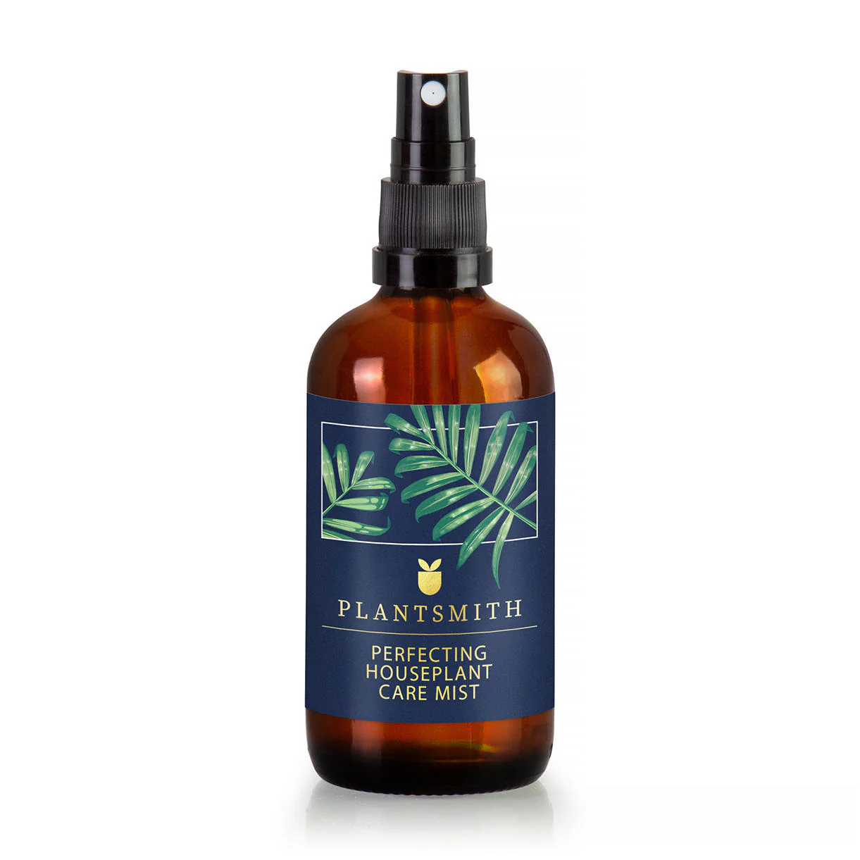 Houseplant Care Set Gift Cracker - Image 3