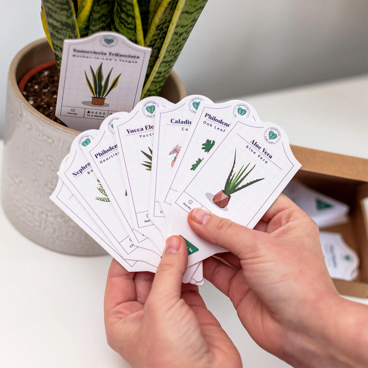 Set of 30 Houseplant Care Labels - Image 2