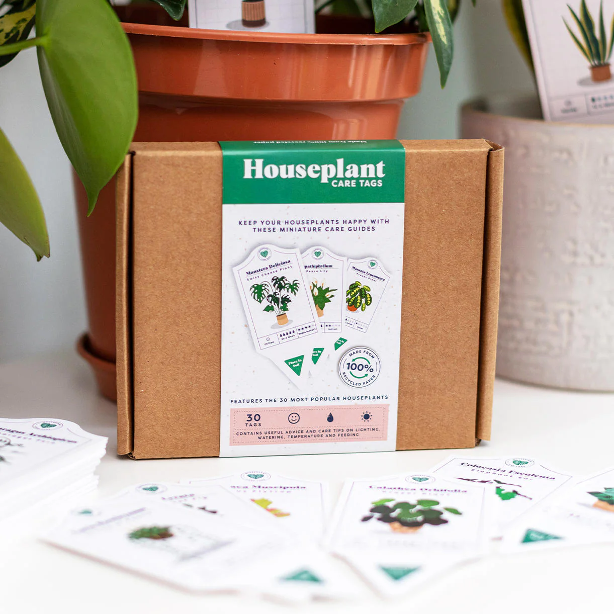 Set of 30 Houseplant Care Labels - Image 3
