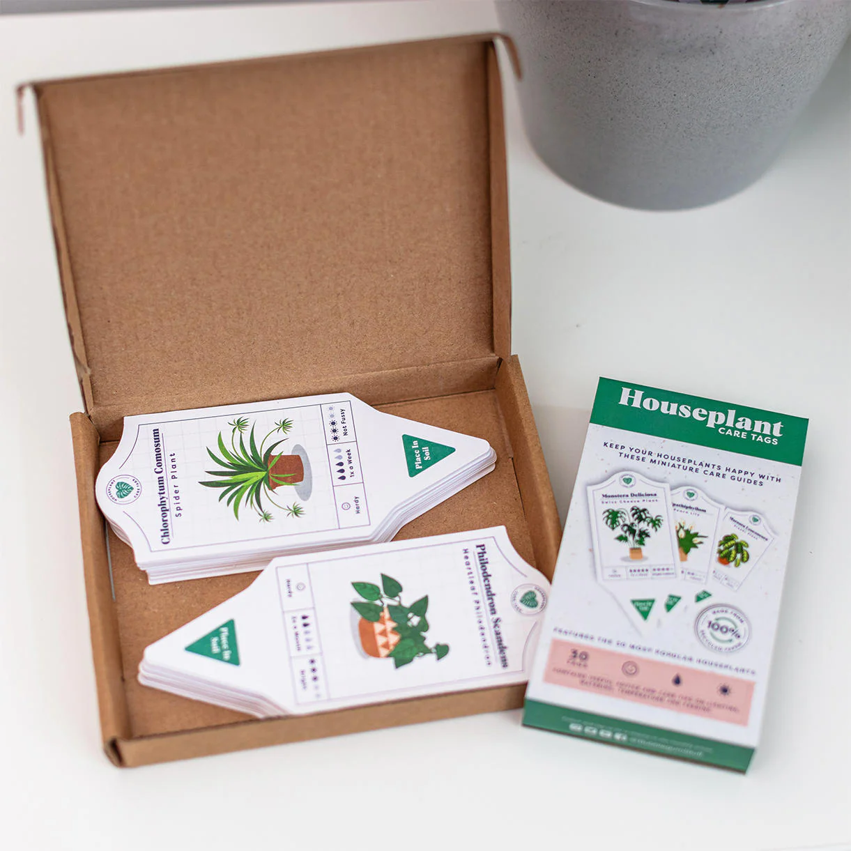 Set of 30 Houseplant Care Labels - Image 4