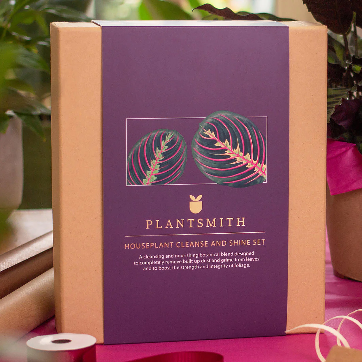 Houseplant Leaf Shine Gift Box