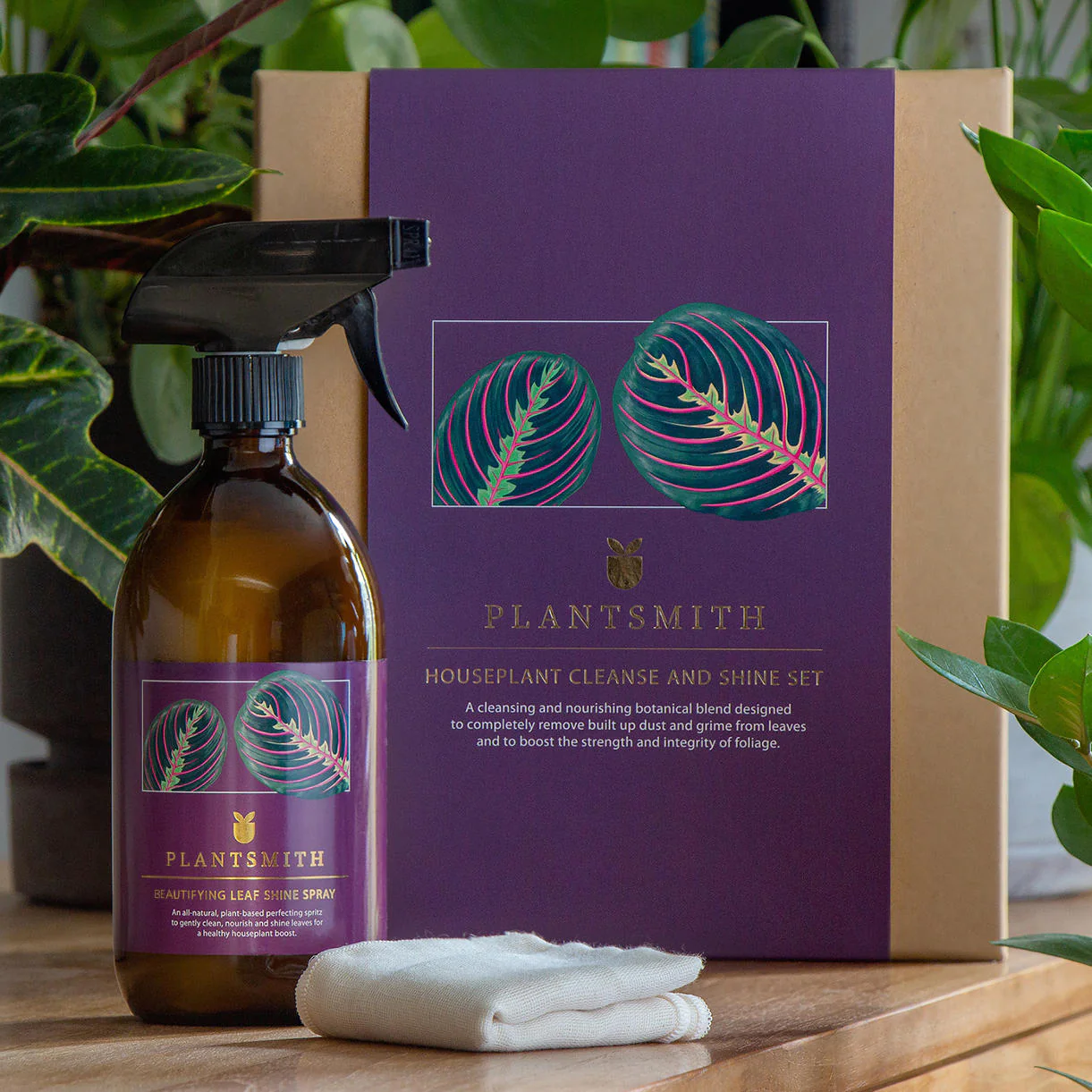 Houseplant Leaf Shine Gift Box - Image 2