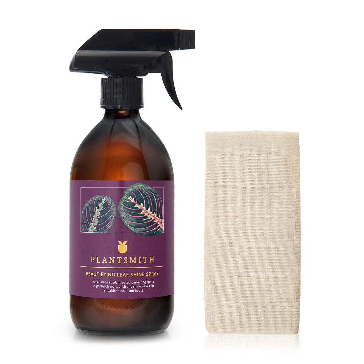 Houseplant Leaf Shine Gift Box - Image 3
