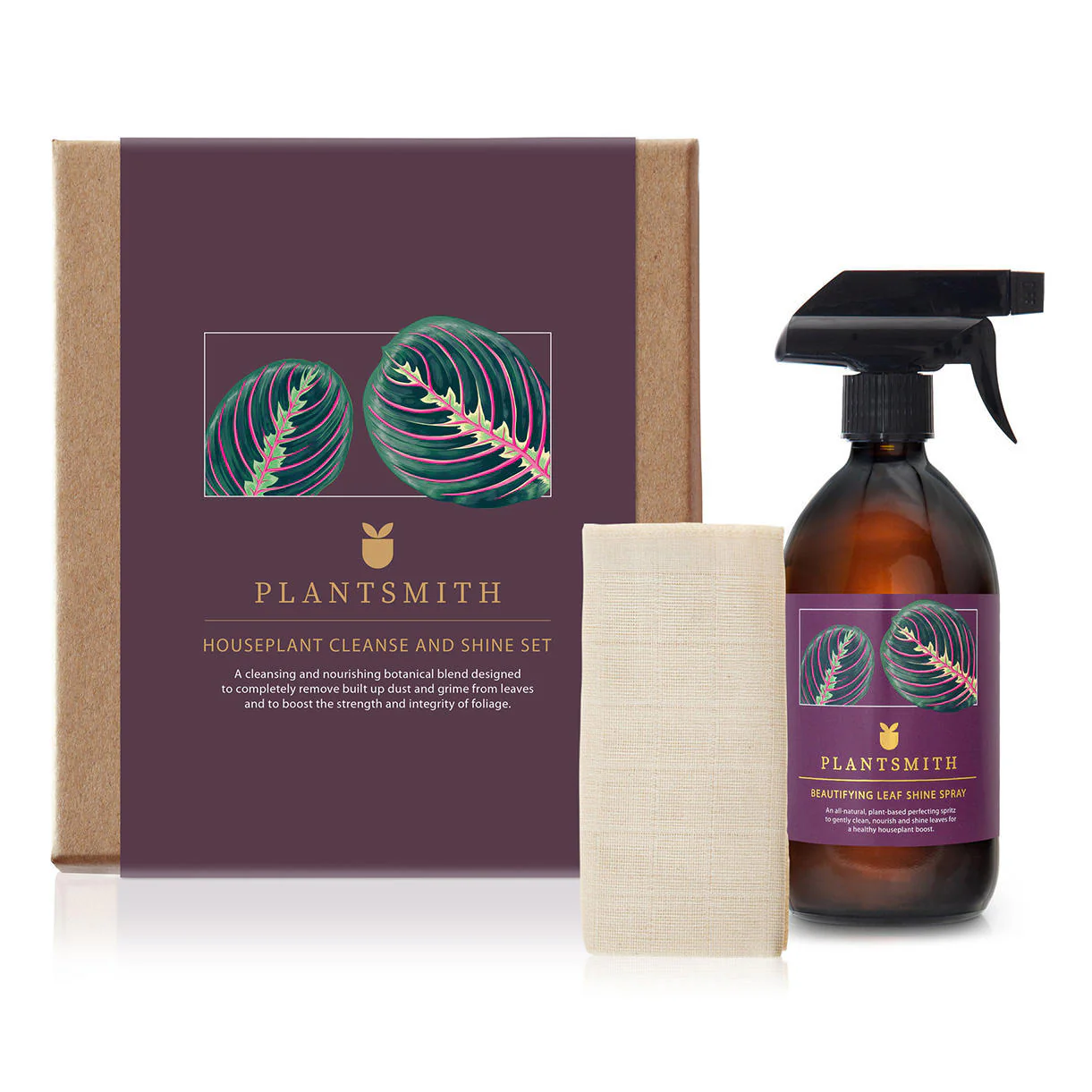 Houseplant Leaf Shine Gift Box - Image 4