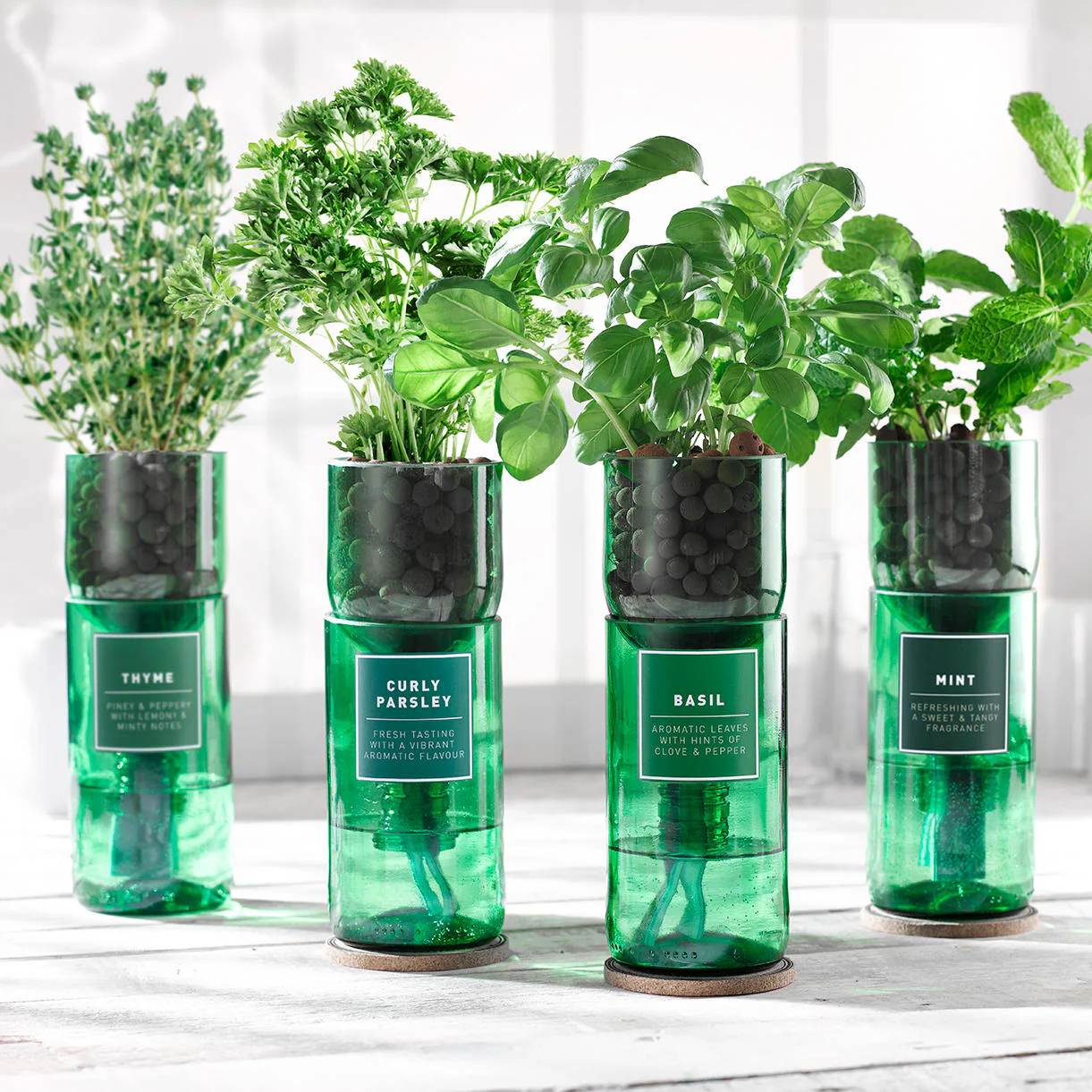 Hydro-Herb Growing Kits - Image 2