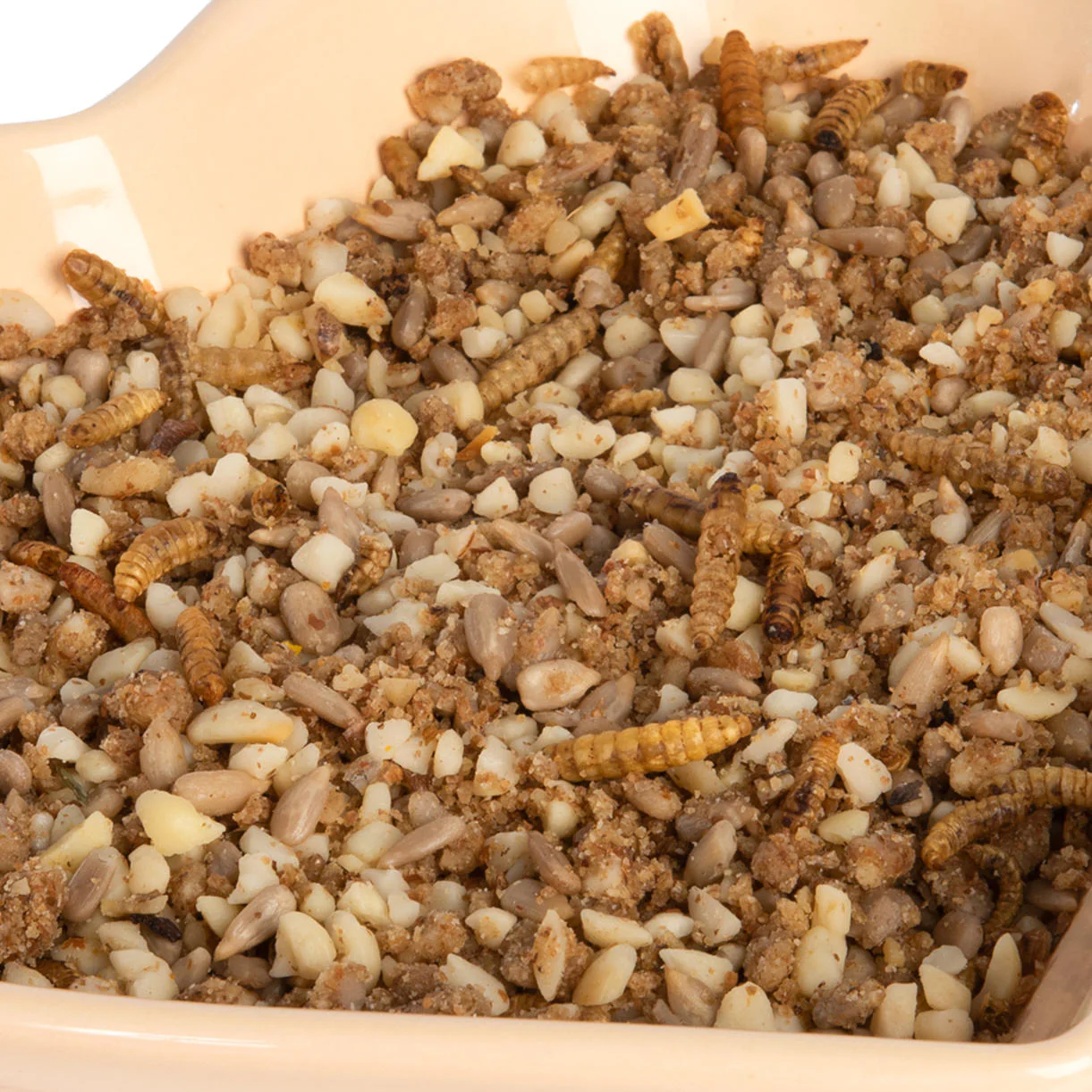 I Love Hedgehogs Food - Image 3