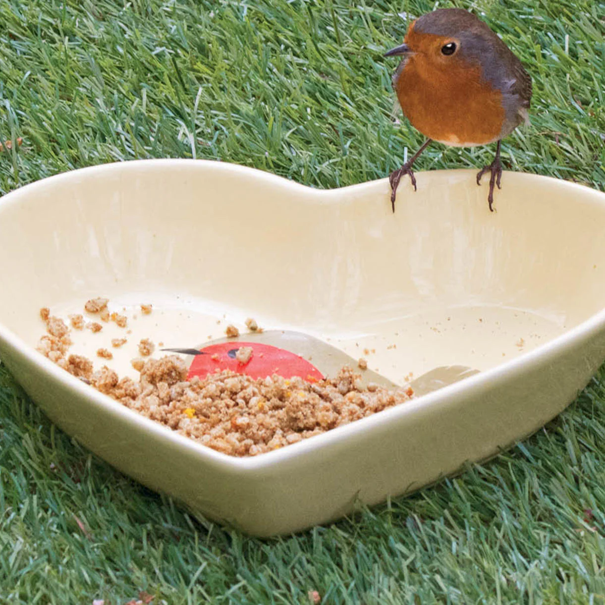 I Love Robin Bird Food - Image 3