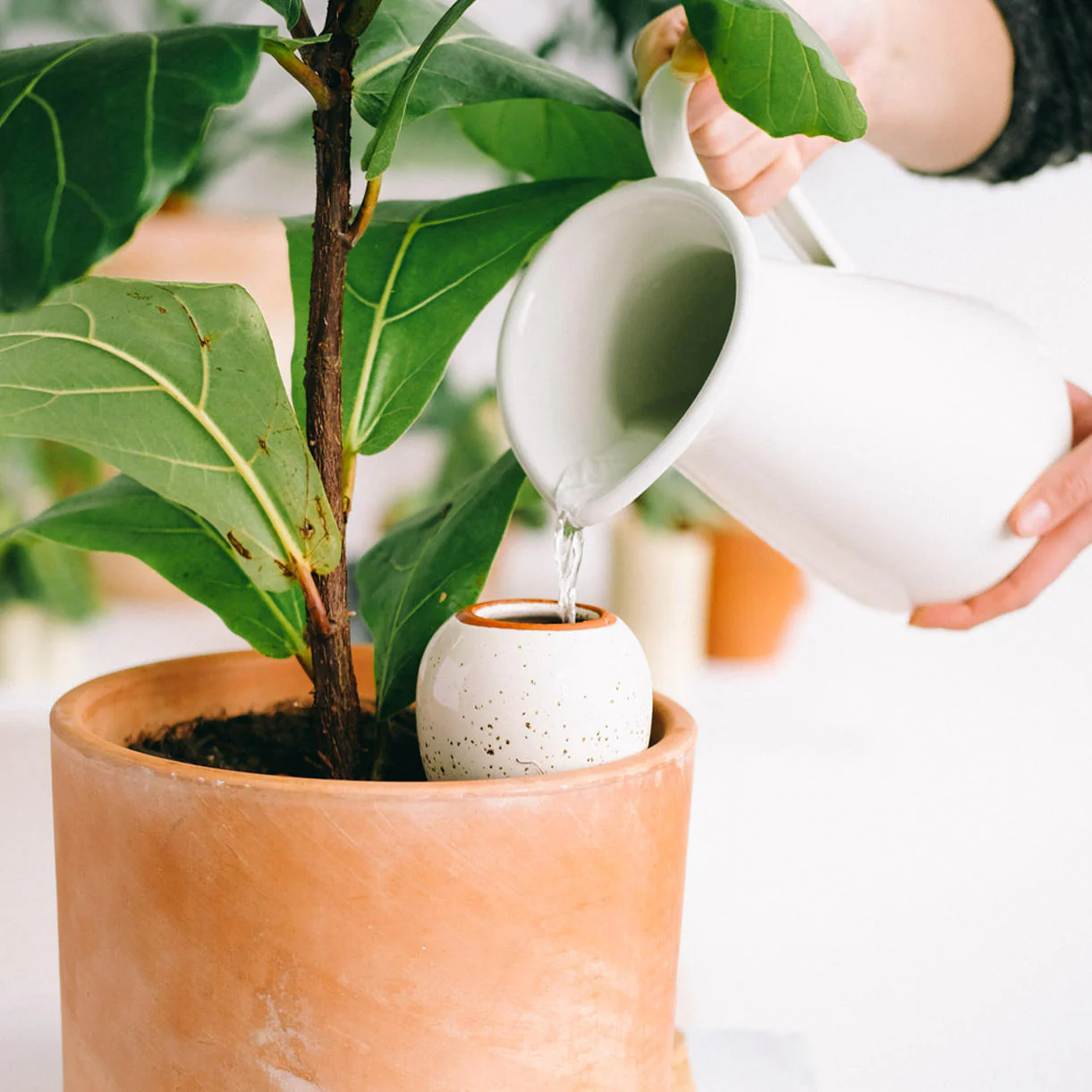 Indoor Olla Watering Pot - Image 2