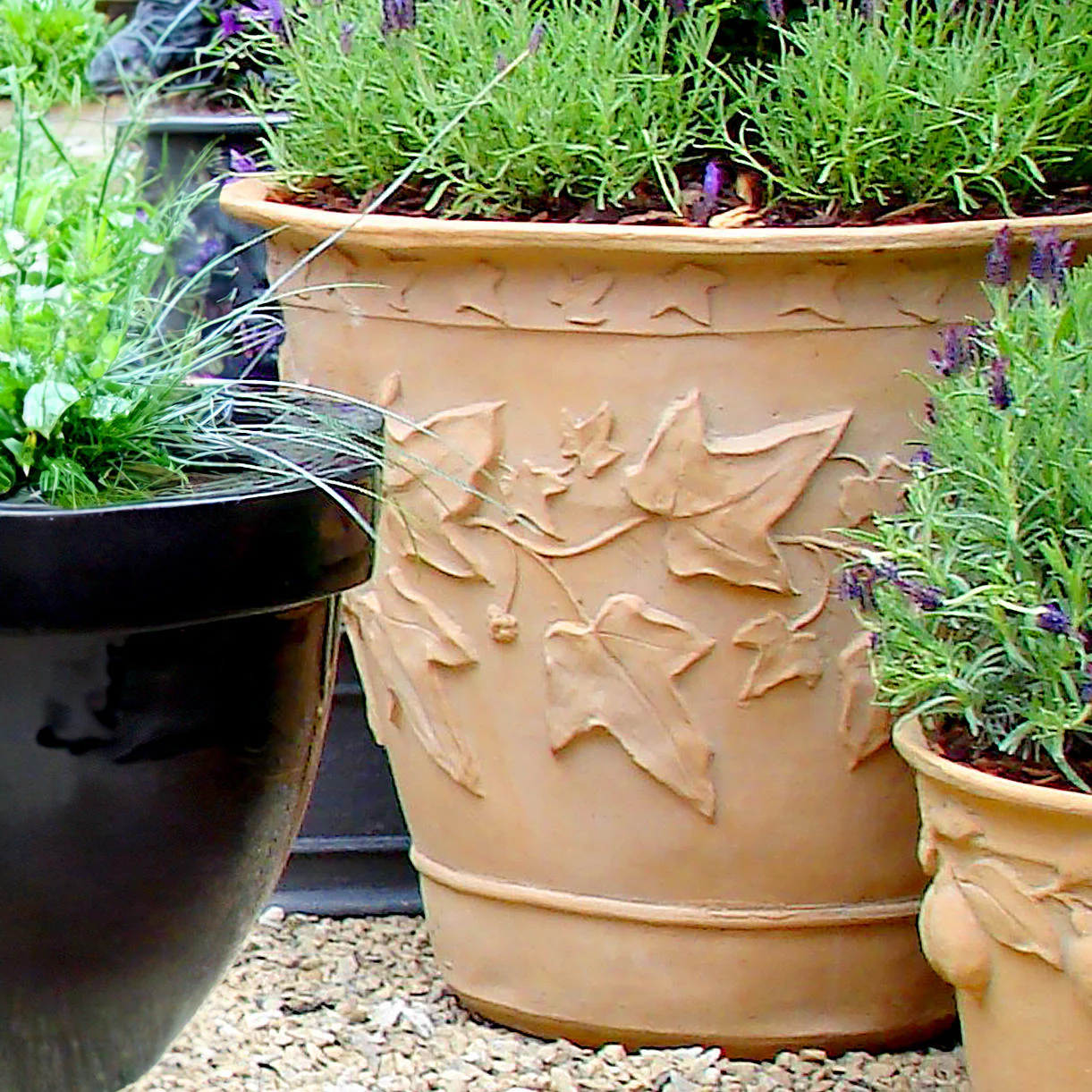 Ivy Planters - Image 2