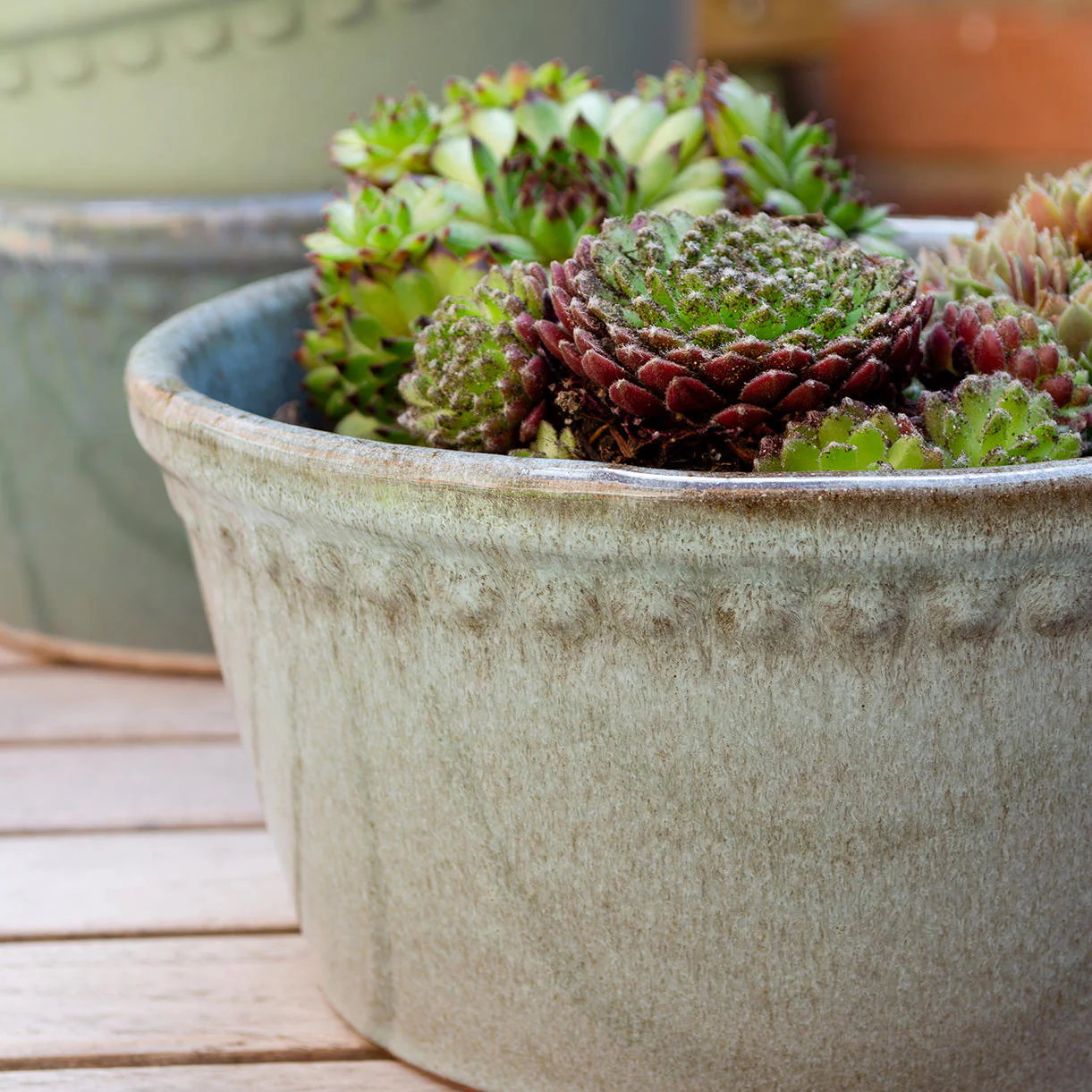 Lacepot Glazed Low Plant Pot - Image 3
