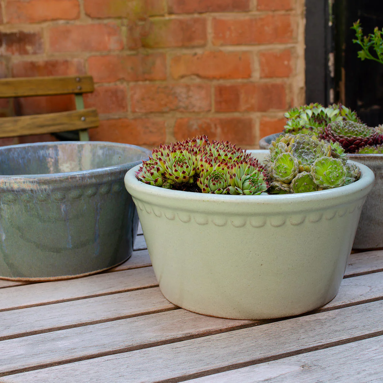 Lacepot Glazed Low Plant Pot - Image 4