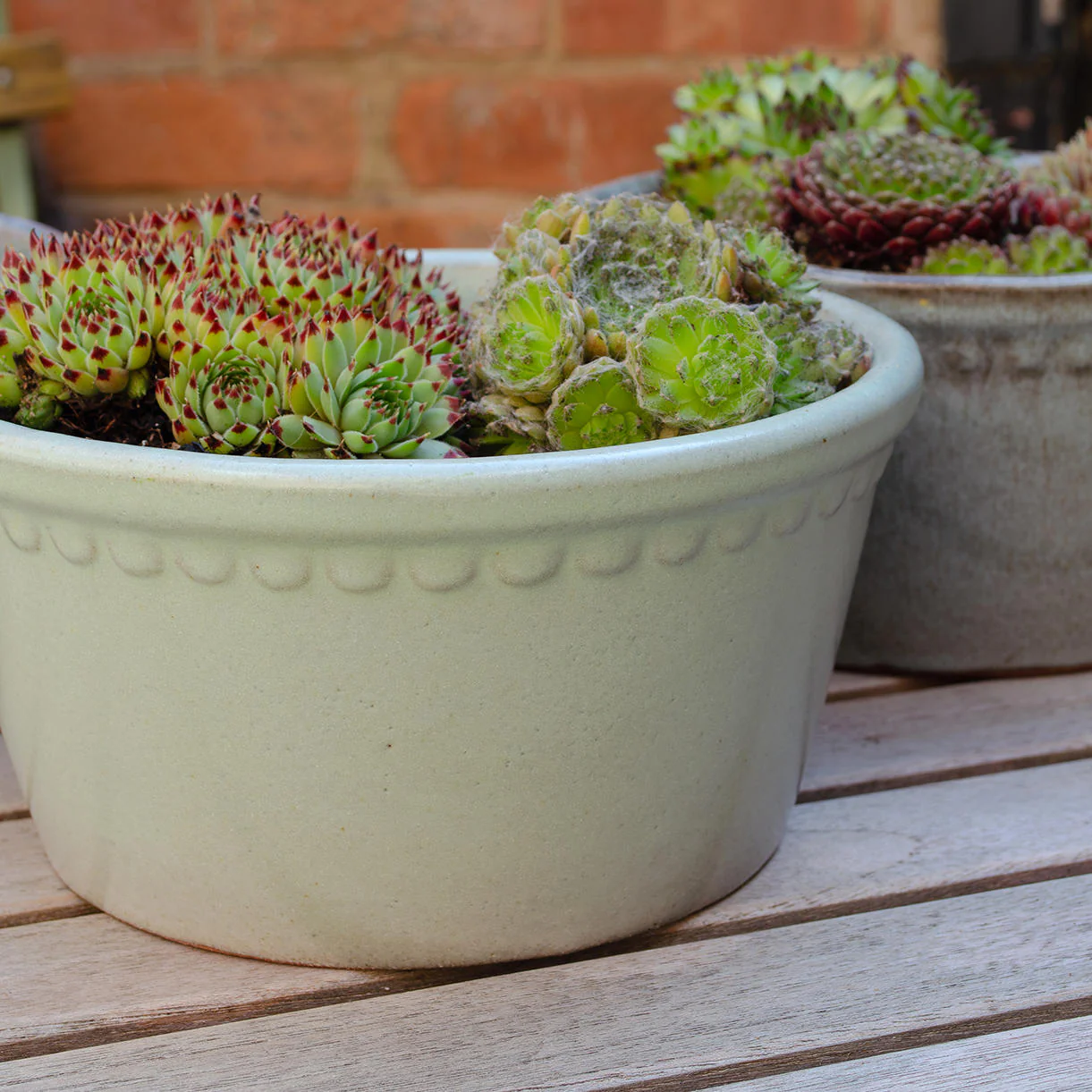 Lacepot Glazed Low Plant Pot - Image 5