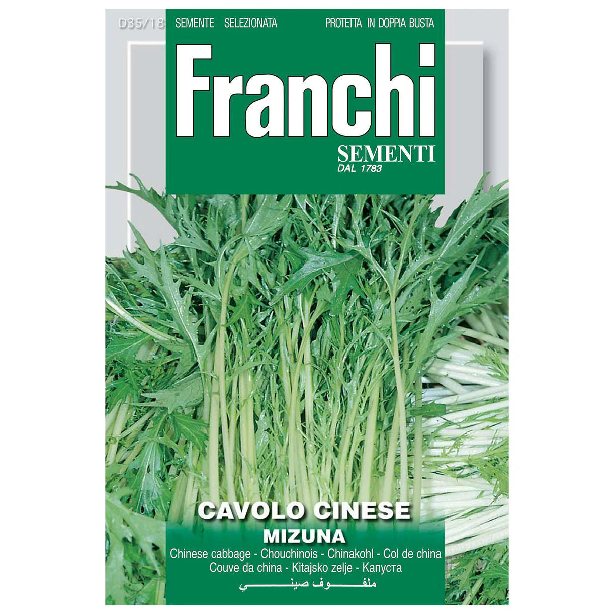 Lettuce Mizuna Seeds - Image 2