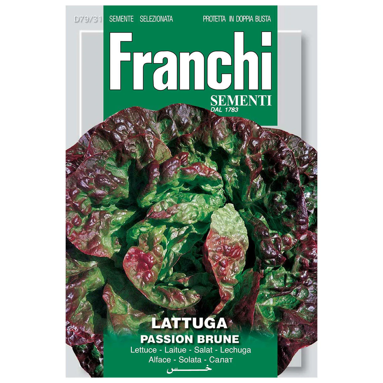 Lettuce Passion Brune Seeds - Image 2