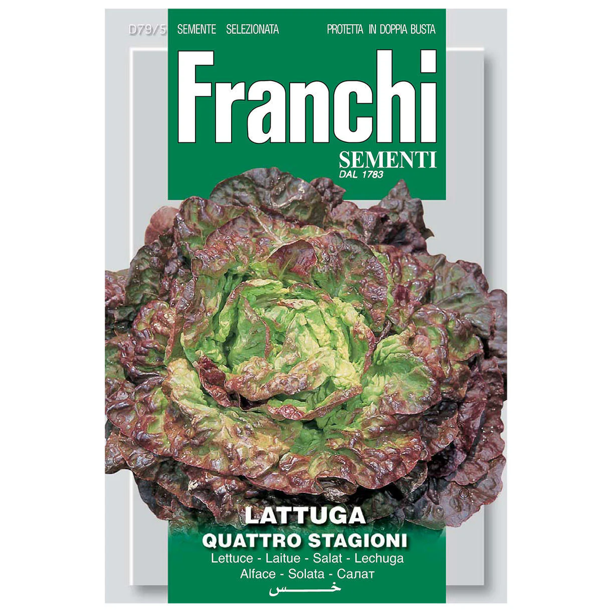 Lettuce Quattro Stagioni Seeds - Image 2