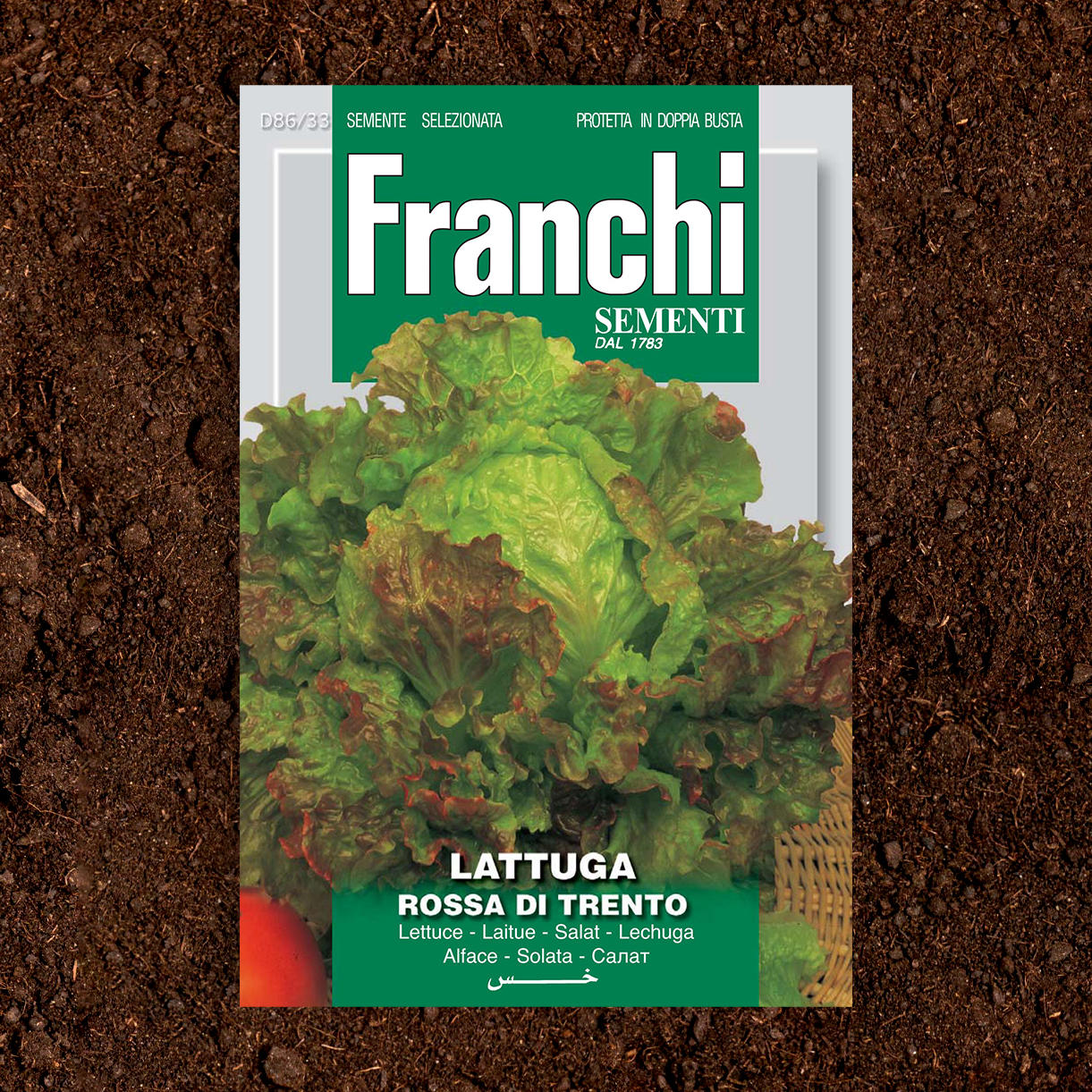 Lettuce Rosso di Trento Seeds