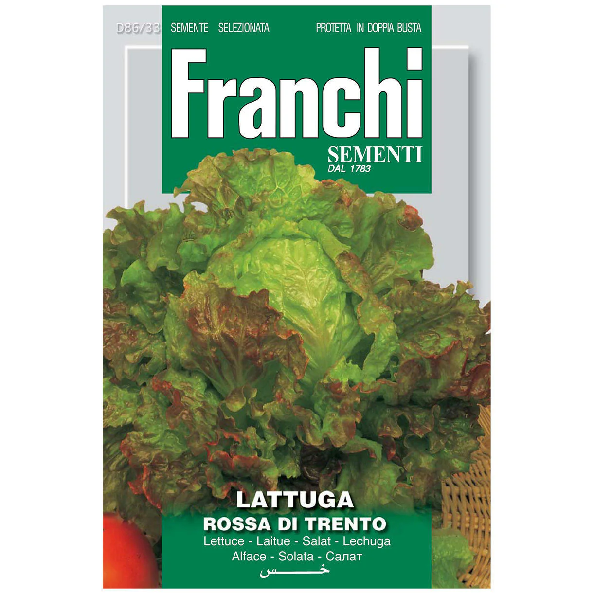 Lettuce Rosso di Trento Seeds - Image 2