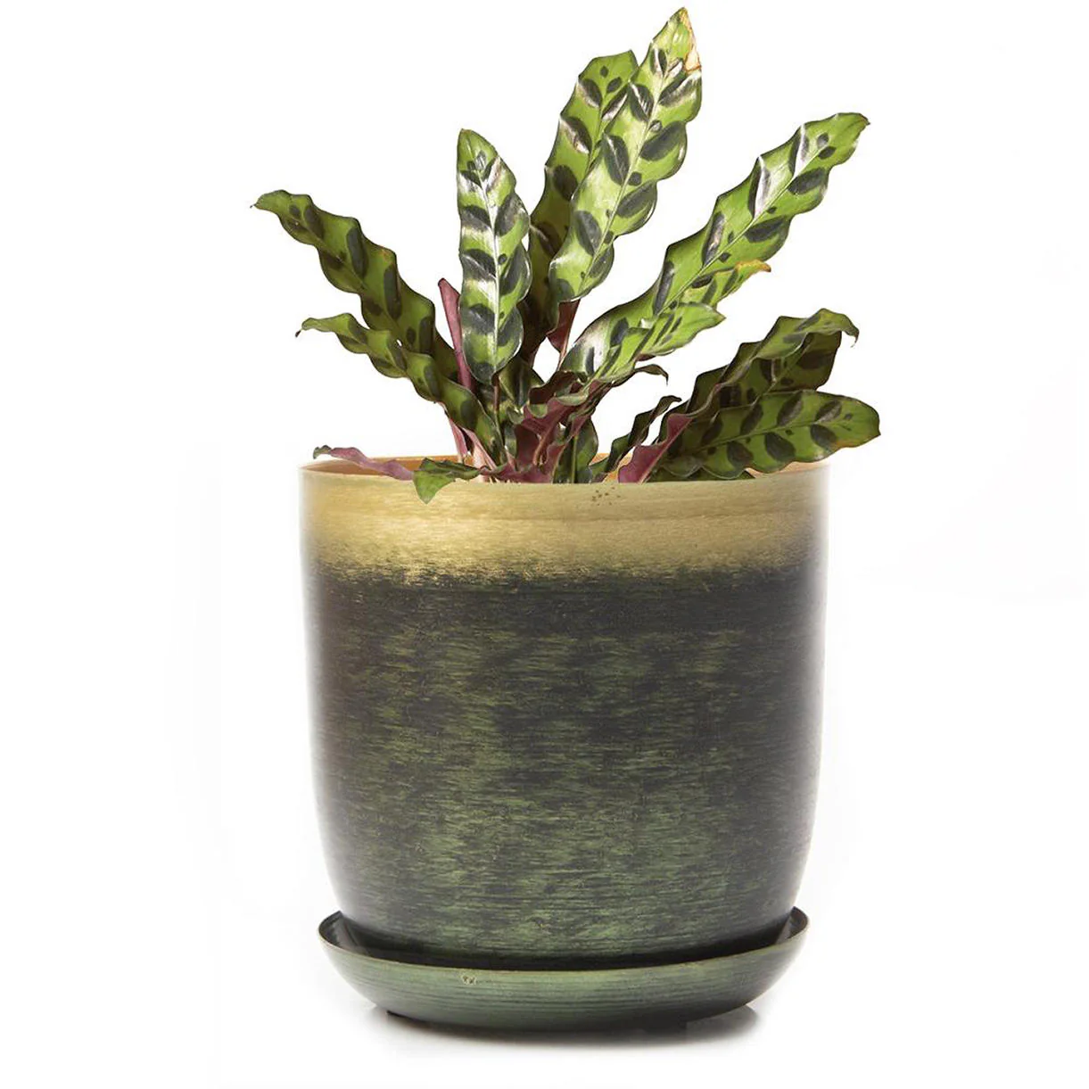 Lustre Planter with Saucer - Image 6