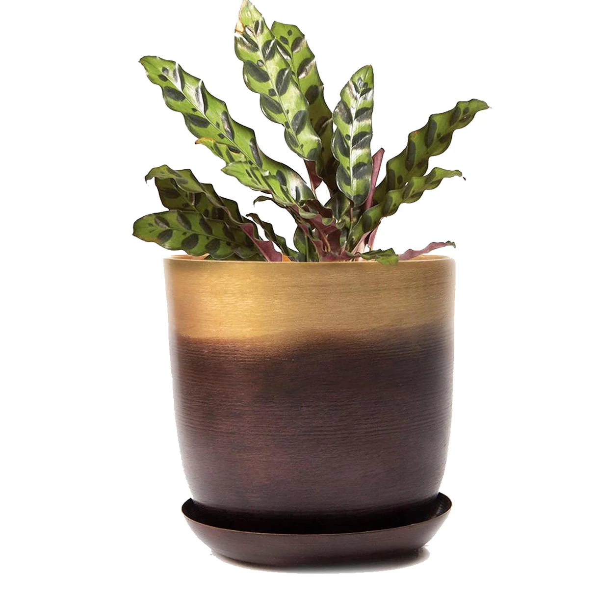 Lustre Planter with Saucer - Image 7