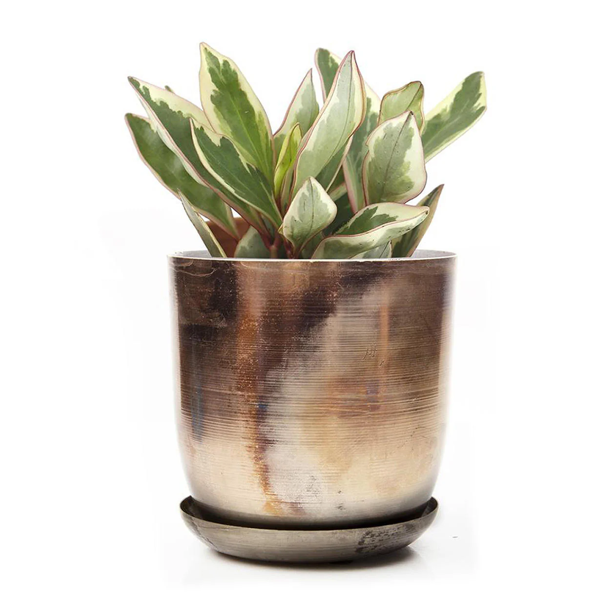 Lustre Planter with Saucer - Image 8