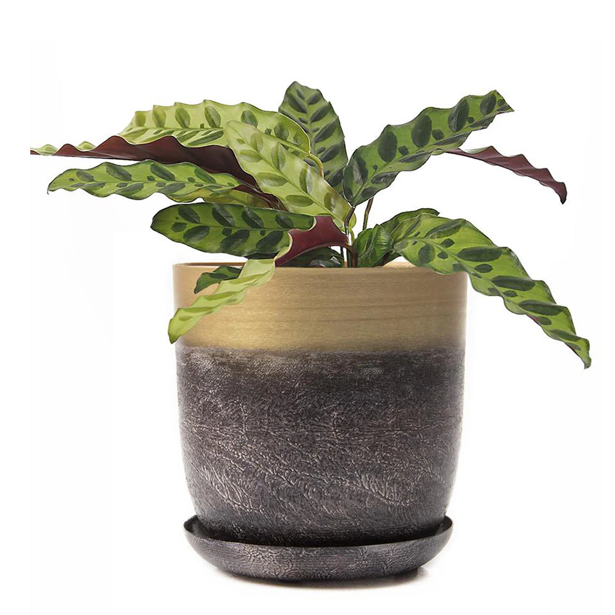 Lustre Planter with Saucer - Image 9