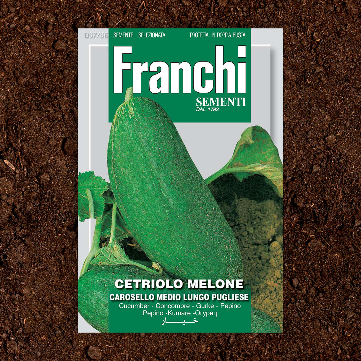 Melon Cucumber Pugliese Seeds