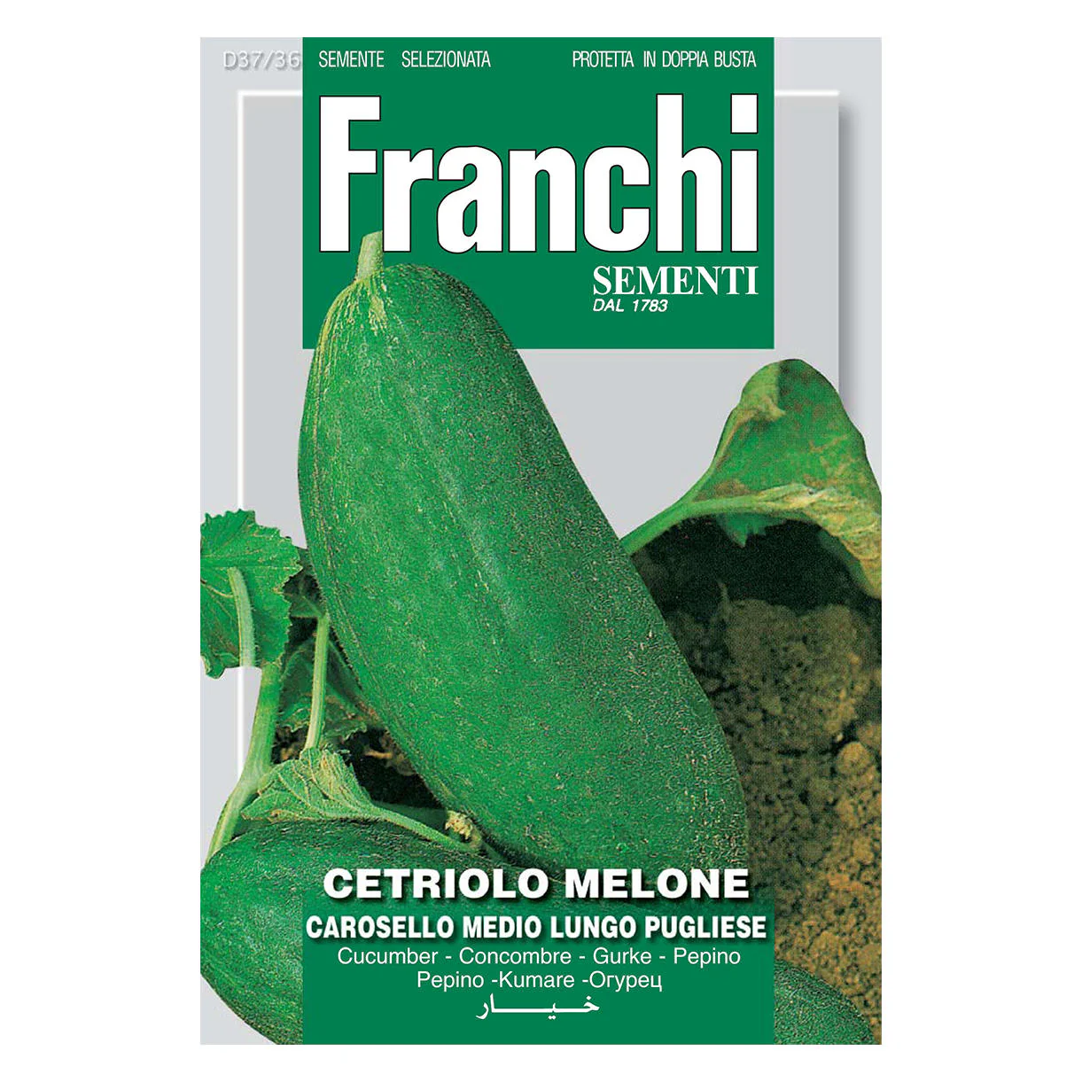 Melon Cucumber Pugliese Seeds - Image 2