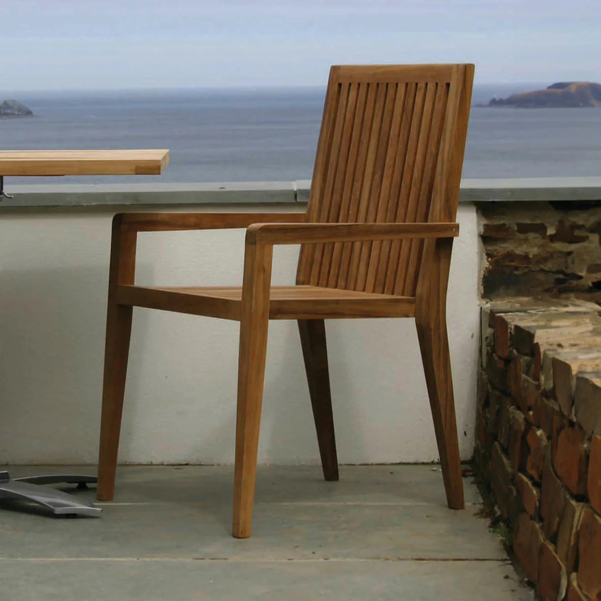 Menton Dining Chair with Arms