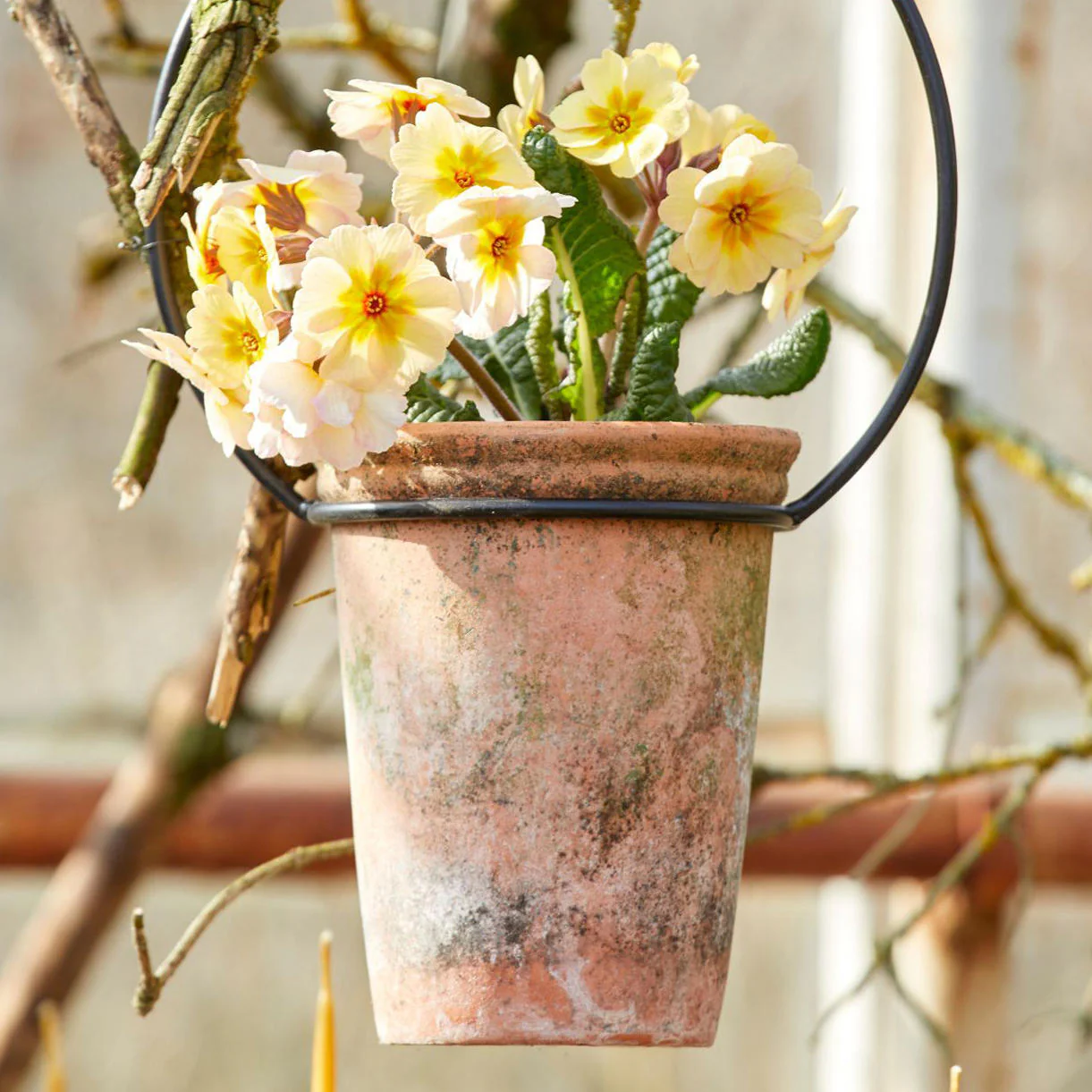 Merle Natural Clay Plant Pot - Image 6